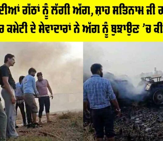 Malout News