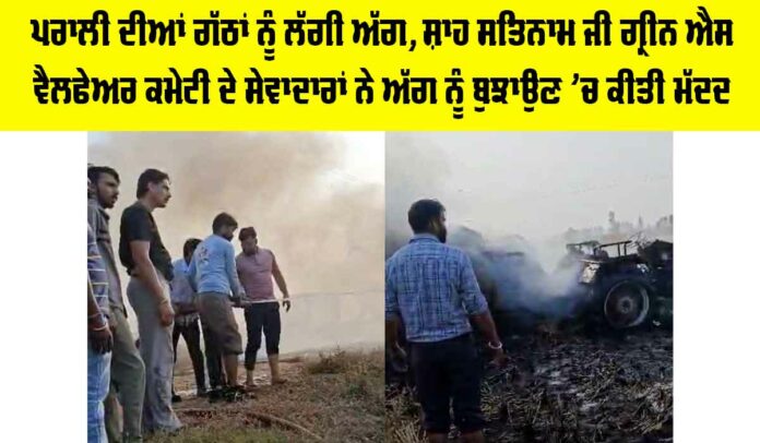 Malout News Malout News