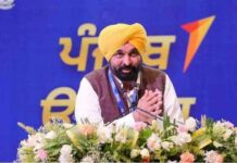 Mann government Industrial Policy