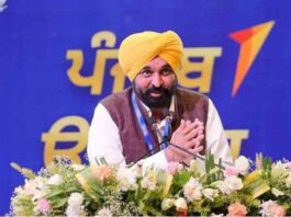 Mann government Industrial Policy