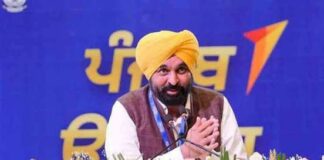 Mann government Industrial Policy