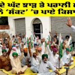 Mansa News: ਝੋਨੇ ਦੇ ਘੱਟ ਝਾੜ ਤੇ ਪਰਾਲੀ ਮਸਲੇ ਨੇ ‘ਸੰਕਟ’ ’ਚ ਪਾਏ ਕਿਸਾਨ Mansa News