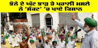 Mansa News: ਝੋਨੇ ਦੇ ਘੱਟ ਝਾੜ ਤੇ ਪਰਾਲੀ ਮਸਲੇ ਨੇ ‘ਸੰਕਟ’ ’ਚ ਪਾਏ ਕਿਸਾਨ Mansa News