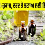 Nilgiri Benefits