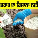 P&K Fertilizers: ਕੇਂਦਰ ਸਰਕਾਰ ਦਾ ਕਿਸਾਨਾਂ ਨੂੰ ਤੋਹਫ਼ਾ, ਜ਼ਰੂਰੀ ਖਾਦਾਂ ‘ਤੇ ਇਸ ਤਰ੍ਹਾਂ ਮਿਲੇਗੀ ਸਬਸਿਡੀ P&K Fertilizers
