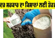 P&K Fertilizers: ਕੇਂਦਰ ਸਰਕਾਰ ਦਾ ਕਿਸਾਨਾਂ ਨੂੰ ਤੋਹਫ਼ਾ, ਜ਼ਰੂਰੀ ਖਾਦਾਂ ‘ਤੇ ਇਸ ਤਰ੍ਹਾਂ ਮਿਲੇਗੀ ਸਬਸਿਡੀ P&K Fertilizers