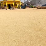 Agriculture News