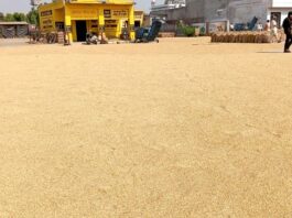 Agriculture News