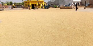 Agriculture News