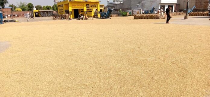 Agriculture News