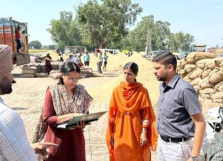 Paddy Procurement