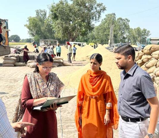 Paddy Procurement