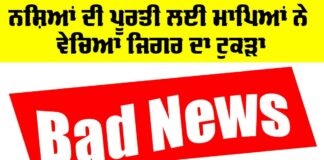 Punjab News