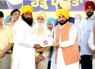 Punjab News