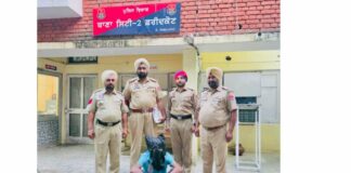 Punjab Crime News