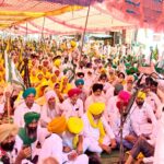 Punjab Farmers