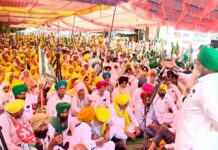 Punjab Farmers