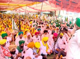 Punjab Farmers