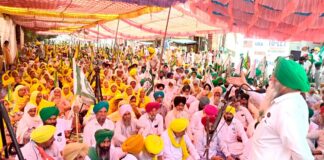 Punjab Farmers