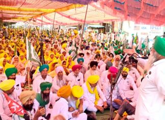 Punjab Farmers