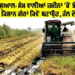 Punjab Farmers