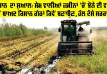 Punjab Farmers: ਕਿਸਾਨ ਦਾ ਸੁਆਲ: ਸੇਮ ਵਾਲੀਆਂ ਜ਼ਮੀਨਾਂ ’ਚੋਂ ਝੋਨੇ ਦੀ ਵਾਢੀ ਤੋਂ ਬਾਅਦ ਕਿਸਾਨ ਗੱਠਾਂ ਕਿਵੇਂ ਬਣਾਉਣ, ਹੱਲ ਦੱਸੇ ਸਰਕਾਰ Punjab Farmers