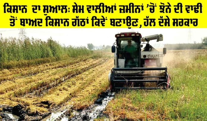Punjab Farmers