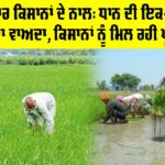 Punjab Government News: ਮਾਨ ਸਰਕਾਰ ਕਿਸਾਨਾਂ ਦੇ ਨਾਲ: ਧਾਨ ਦੀ ਇਕ-ਇਕ ਬੋਰੀ ਖਰੀਦਣ ਦਾ ਵਾਅਦਾ, ਕਿਸਾਨਾਂ ਨੂੰ ਮਿਲ ਰਹੀ ਪੂਰੀ ਕੀਮਤ Punjab Government News