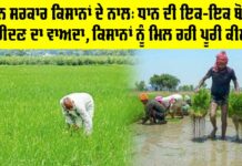 Punjab Government News: ਮਾਨ ਸਰਕਾਰ ਕਿਸਾਨਾਂ ਦੇ ਨਾਲ: ਧਾਨ ਦੀ ਇਕ-ਇਕ ਬੋਰੀ ਖਰੀਦਣ ਦਾ ਵਾਅਦਾ, ਕਿਸਾਨਾਂ ਨੂੰ ਮਿਲ ਰਹੀ ਪੂਰੀ ਕੀਮਤ Punjab Government News