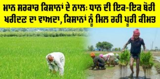 Punjab Government News