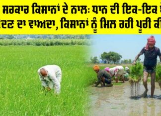 Punjab Government News