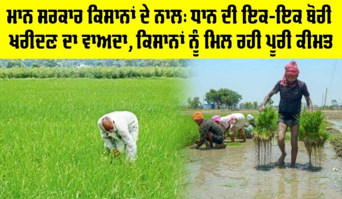 Punjab-Government-New Punjab Government News