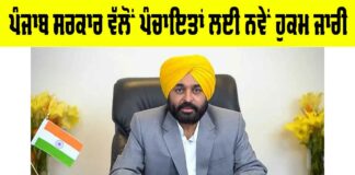 Punjab Government News