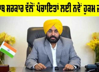Punjab Government News