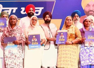 Punjab News