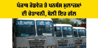 Punjab Roadways News