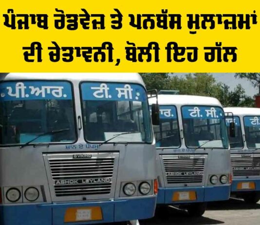 Punjab Roadways News