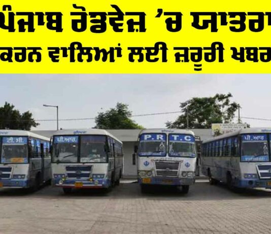 Punjab Roadways News
