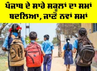 Punjab School Timings