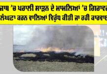 Punjab Stubble Burning