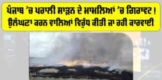 Punjab Stubble Burning