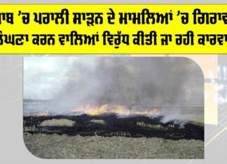 Punjab Stubble Burning