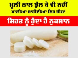 Radish Side Effects: ਮੂਲੀ ਨਾਲ ਭੁੱਲ ਕੇ ਵੀ ਨਹੀਂ ਖਾਣੀਆਂ ਚਾਹੀਦੀਆਂ ਇਹ ਸਿਹਤਮੰਦ ਚੀਜ਼ਾਂ, ਹੁੰਦਾ ਹੈ ਨੁਕਸਾਨ Radish Side Effects