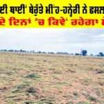 Rain In Punjab