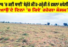 Rain In Punjab