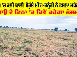 Rain In Punjab