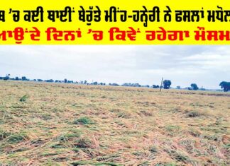 Rain In Punjab