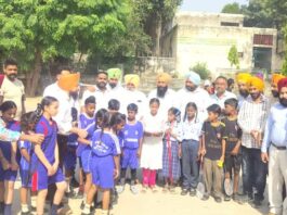 Sports-News