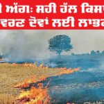 Stubble Burning