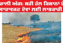 Stubble Burning